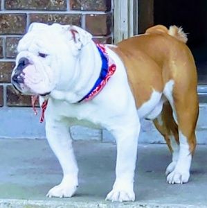 Meet your Posher, Warren